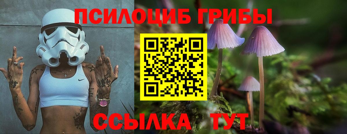 Галлюциногенные грибы Psilocybe  Галлюциногенные грибы Psilocybine cubensis  Пушкино 